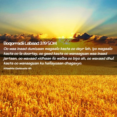 Picture 02 - Boqorradii Labaad 3:19 SOM - Oo waa inaad dumisaan magaalo kasta oo deyr leh, - Bible Verse Picture