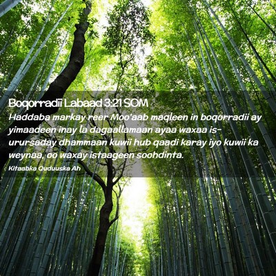 Picture 02 - Boqorradii Labaad 3:21 SOM - Haddaba markay reer Moo'aab maqleen in boqorradii - Bible Verse Picture