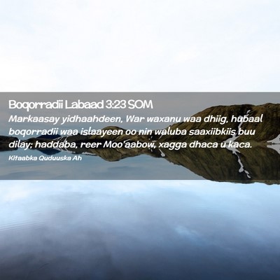 Picture 02 - Boqorradii Labaad 3:23 SOM - Markaasay yidhaahdeen, War waxanu waa dhiig, - Bible Verse Picture