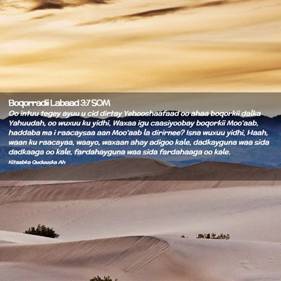 Picture 02 - Boqorradii Labaad 3:7 SOM - Oo intuu tegey ayuu u cid dirtay Yehooshaafaad oo - Bible Verse Picture