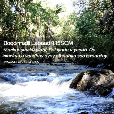 Picture 02 - Boqorradii Labaad 4:15 SOM - Markaasuu ku yidhi, Bal iyada u yeedh. Oo markuu - Bible Verse Picture