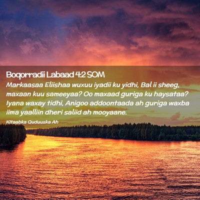 Picture 02 - Boqorradii Labaad 4:2 SOM - Markaasaa Eliishaa wuxuu iyadii ku yidhi, Bal ii - Bible Verse Picture
