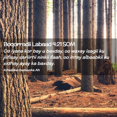 Picture 02 - Boqorradii Labaad 4:21 SOM - Oo iyana kor bay u baxday, oo waxay isagii ku - Bible Verse Picture
