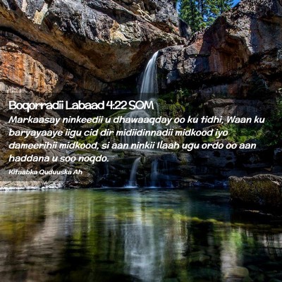 Picture 02 - Boqorradii Labaad 4:22 SOM - Markaasay ninkeedii u dhawaaqday oo ku tidhi, - Bible Verse Picture