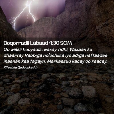 Picture 02 - Boqorradii Labaad 4:30 SOM - Oo wiilkii hooyadiis waxay tidhi, Waxaan ku - Bible Verse Picture