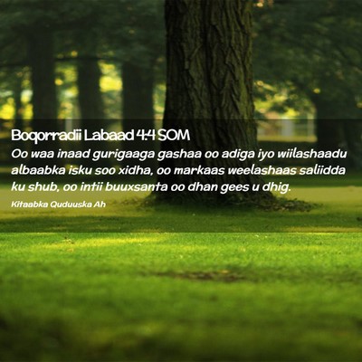 Picture 02 - Boqorradii Labaad 4:4 SOM - Oo waa inaad gurigaaga gashaa oo adiga iyo - Bible Verse Picture