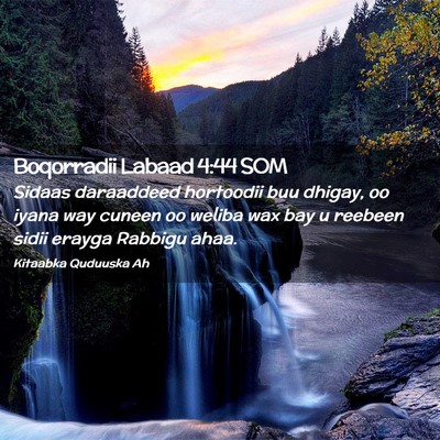 Picture 02 - Boqorradii Labaad 4:44 SOM - Sidaas daraaddeed hortoodii buu dhigay, oo iyana - Bible Verse Picture