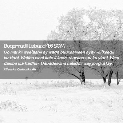 Picture 02 - Boqorradii Labaad 4:6 SOM - Oo markii weelashii ay wada buuxsameen ayay - Bible Verse Picture