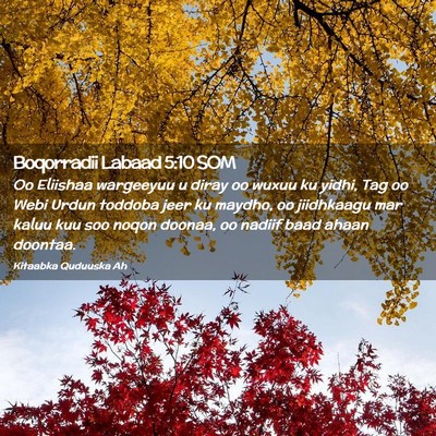Picture 02 - Boqorradii Labaad 5:10 SOM - Oo Eliishaa wargeeyuu u diray oo wuxuu ku yidhi, - Bible Verse Picture