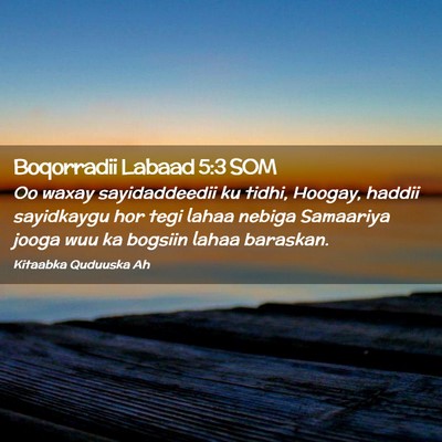 Picture 02 - Boqorradii Labaad 5:3 SOM - Oo waxay sayidaddeedii ku tidhi, Hoogay, haddii - Bible Verse Picture