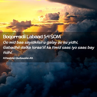 Picture 02 - Boqorradii Labaad 5:4 SOM - Oo mid baa sayidkiisii u galay oo ku yidhi, - Bible Verse Picture