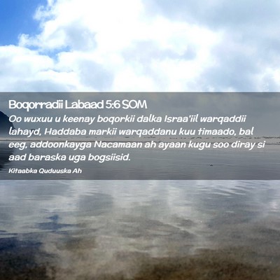 Picture 02 - Boqorradii Labaad 5:6 SOM - Oo wuxuu u keenay boqorkii dalka Israa'iil - Bible Verse Picture