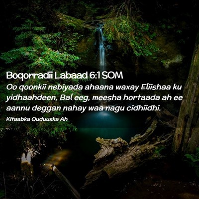 Picture 02 - Boqorradii Labaad 6:1 SOM - Oo qoonkii nebiyada ahaana waxay Eliishaa ku - Bible Verse Picture
