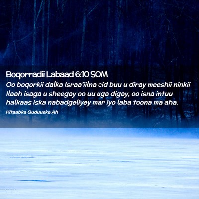 Picture 02 - Boqorradii Labaad 6:10 SOM - Oo boqorkii dalka Israa'iilna cid buu u diray - Bible Verse Picture