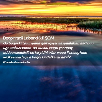 Picture 02 - Boqorradii Labaad 6:11 SOM - Oo boqorkii Suuriyana qalbigiisu waxyaalahan aad - Bible Verse Picture