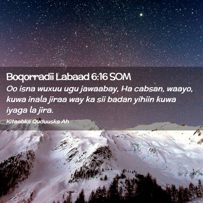 Picture 02 - Boqorradii Labaad 6:16 SOM - Oo isna wuxuu ugu jawaabay, Ha cabsan, waayo, - Bible Verse Picture
