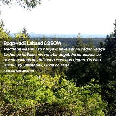 Picture 02 - Boqorradii Labaad 6:2 SOM - Haddaba waannu ku baryaynaaye aannu tagno xagga - Bible Verse Picture