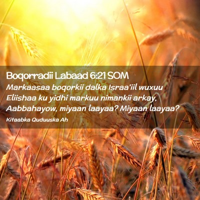 Picture 02 - Boqorradii Labaad 6:21 SOM - Markaasaa boqorkii dalka Israa'iil wuxuu Eliishaa - Bible Verse Picture