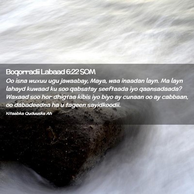 Picture 02 - Boqorradii Labaad 6:22 SOM - Oo isna wuxuu ugu jawaabay, Maya, waa inaadan - Bible Verse Picture