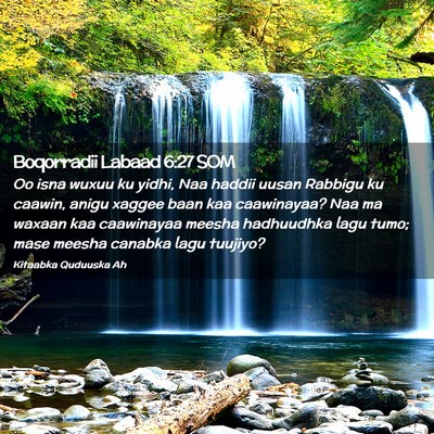 Picture 02 - Boqorradii Labaad 6:27 SOM - Oo isna wuxuu ku yidhi, Naa haddii uusan Rabbigu - Bible Verse Picture