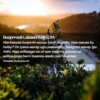 Picture 02 - Boqorradii Labaad 6:28 SOM - Markaasaa boqorkii wuxuu iyadii ku yidhi, Naa - Bible Verse Picture