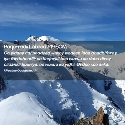 Picture 02 - Boqorradii Labaad 7:14 SOM - Oo sidaas daraaddeed waxay wadeen laba - Bible Verse Picture