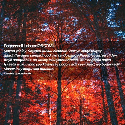 Picture 02 - Boqorradii Labaad 7:6 SOM - Maxaa yeelay, Sayidku wuxuu ciidankii Suuriya - Bible Verse Picture