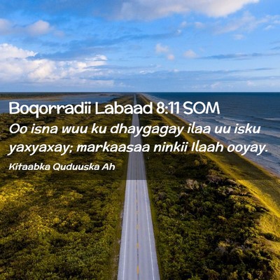 Picture 02 - Boqorradii Labaad 8:11 SOM - Oo isna wuu ku dhaygagay ilaa uu isku yaxyaxay; - Bible Verse Picture