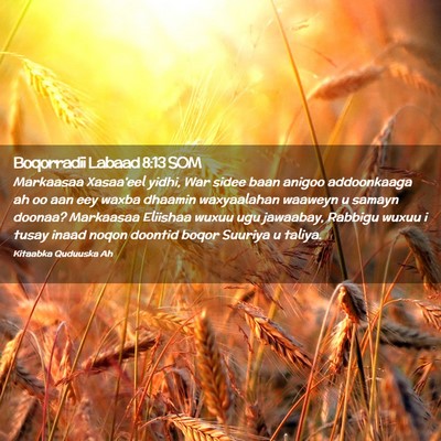 Picture 02 - Boqorradii Labaad 8:13 SOM - Markaasaa Xasaa'eel yidhi, War sidee baan anigoo - Bible Verse Picture