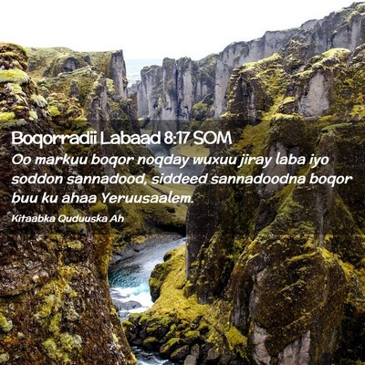 Picture 02 - Boqorradii Labaad 8:17 SOM - Oo markuu boqor noqday wuxuu jiray laba iyo - Bible Verse Picture