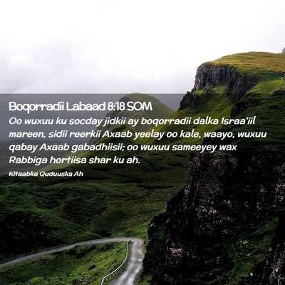 Picture 02 - Boqorradii Labaad 8:18 SOM - Oo wuxuu ku socday jidkii ay boqorradii dalka - Bible Verse Picture