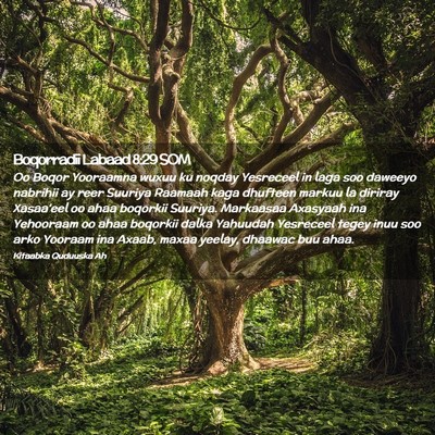 Picture 02 - Boqorradii Labaad 8:29 SOM - Oo Boqor Yooraamna wuxuu ku noqday Yesreceel in - Bible Verse Picture