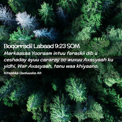 Picture 02 - Boqorradii Labaad 9:23 SOM - Markaasaa Yooraam intuu faraskii dib u ceshaday - Bible Verse Picture