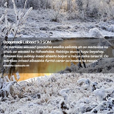 Picture 02 - Boqorradii Labaad 9:3 SOM - Oo markaas waxaad qaadataa weelka saliidda ah oo - Bible Verse Picture