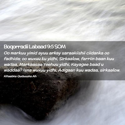 Picture 02 - Boqorradii Labaad 9:5 SOM - Oo markuu yimid ayuu arkay saraakiishii ciidanka - Bible Verse Picture
