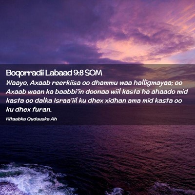 Picture 02 - Boqorradii Labaad 9:8 SOM - Waayo, Axaab reerkiisa oo dhammu waa halligmayaa; - Bible Verse Picture