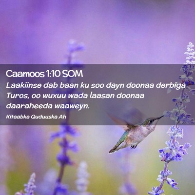Picture 02 - Caamoos 1:10 SOM - Laakiinse dab baan ku soo dayn doonaa derbiga - Bible Verse Picture