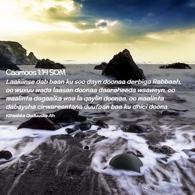 Picture 02 - Caamoos 1:14 SOM - Laakiinse dab baan ku soo dayn doonaa derbiga - Bible Verse Picture