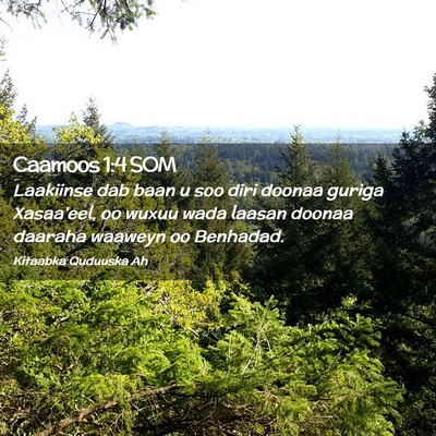 Picture 02 - Caamoos 1:4 SOM - Laakiinse dab baan u soo diri doonaa guriga - Bible Verse Picture