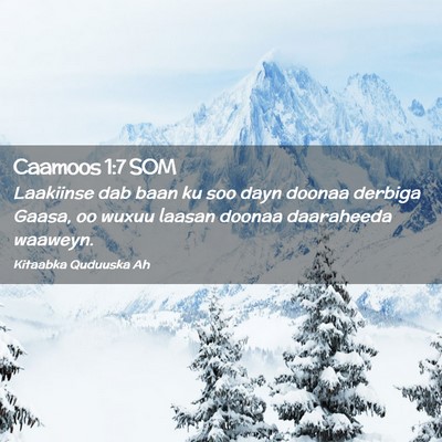 Picture 02 - Caamoos 1:7 SOM - Laakiinse dab baan ku soo dayn doonaa derbiga - Bible Verse Picture