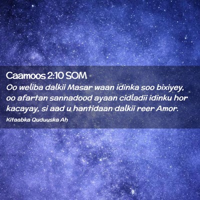 Picture 02 - Caamoos 2:10 SOM - Oo weliba dalkii Masar waan idinka soo bixiyey, - Bible Verse Picture