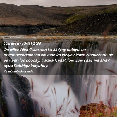 Picture 02 - Caamoos 2:11 SOM - Oo wiilashiinnii waxaan ka kiciyey nebiyo, oo - Bible Verse Picture