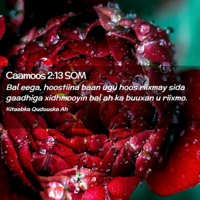 Picture 02 - Caamoos 2:13 SOM - Bal eega, hoostiina baan ugu hoos riixmay sida - Bible Verse Picture