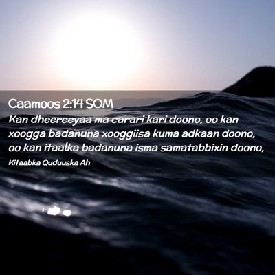Picture 02 - Caamoos 2:14 SOM - Kan dheereeyaa ma carari kari doono, oo kan - Bible Verse Picture