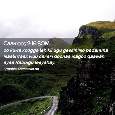 Picture 02 - Caamoos 2:16 SOM - oo kuwa xoogga leh kii ugu geesinimo badanuna - Bible Verse Picture