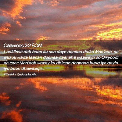 Picture 02 - Caamoos 2:2 SOM - Laakiinse dab baan ku soo dayn doonaa dalka - Bible Verse Picture