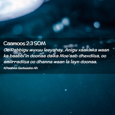 Picture 02 - Caamoos 2:3 SOM - Oo Rabbigu wuxuu leeyahay, Anigu xaakinka waan ka - Bible Verse Picture