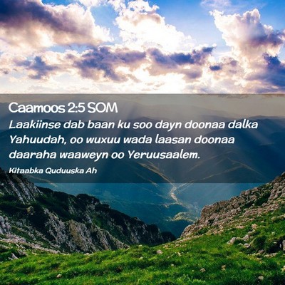 Picture 02 - Caamoos 2:5 SOM - Laakiinse dab baan ku soo dayn doonaa dalka - Bible Verse Picture