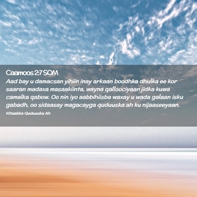 Picture 02 - Caamoos 2:7 SOM - Aad bay u damacsan yihiin inay arkaan boodhka - Bible Verse Picture