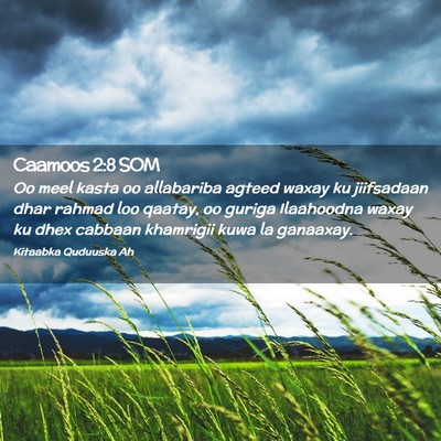 Picture 02 - Caamoos 2:8 SOM - Oo meel kasta oo allabariba agteed waxay ku - Bible Verse Picture